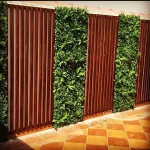 0620 بروج جدة للمقاولات | تنسيق حدائق