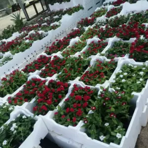 0659 بروج جدة للمقاولات | تنسيق حدائق